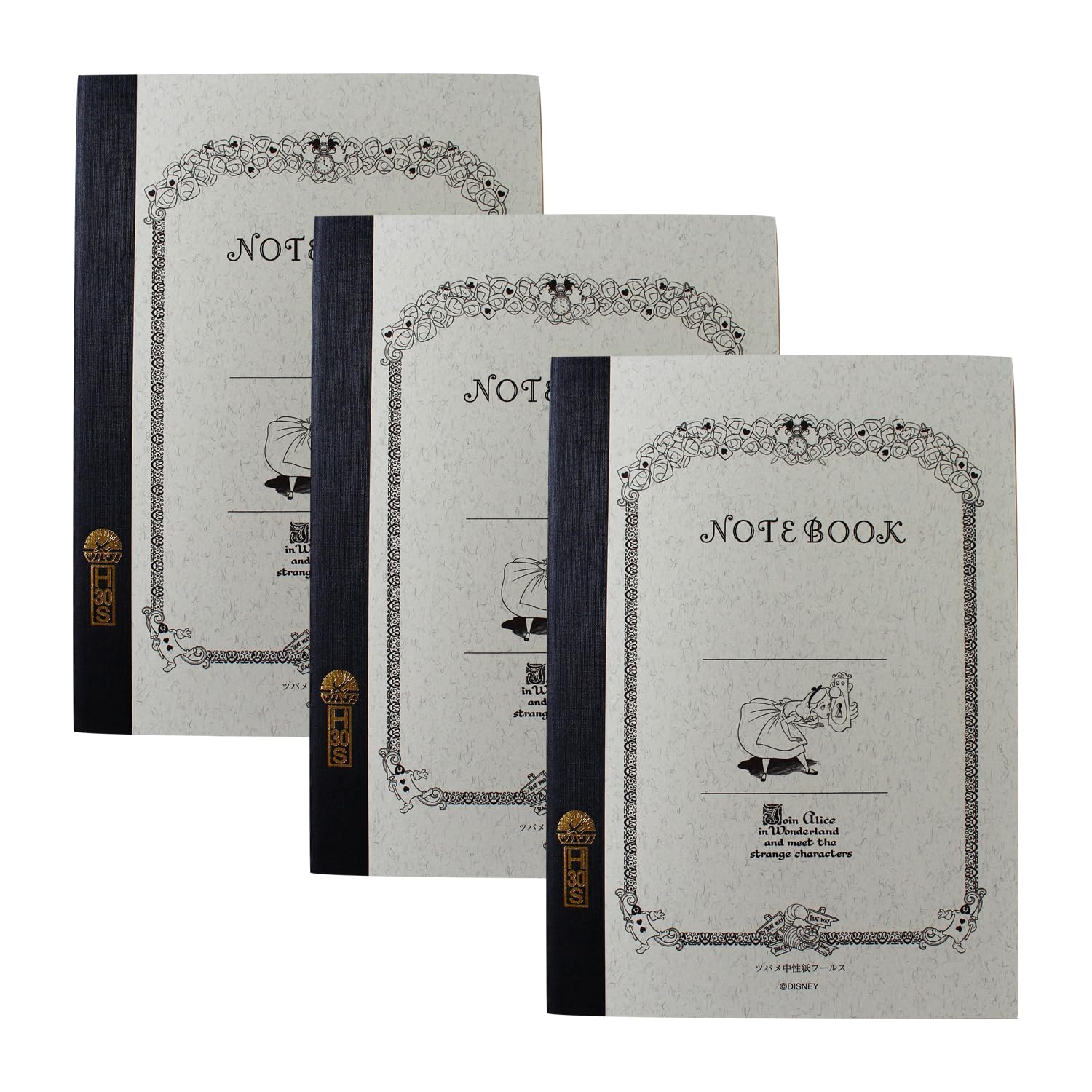 ALICE様、専用ページ ホビーサーチ限定特典付】アリスソフト35周年記念展「ALICEの館35